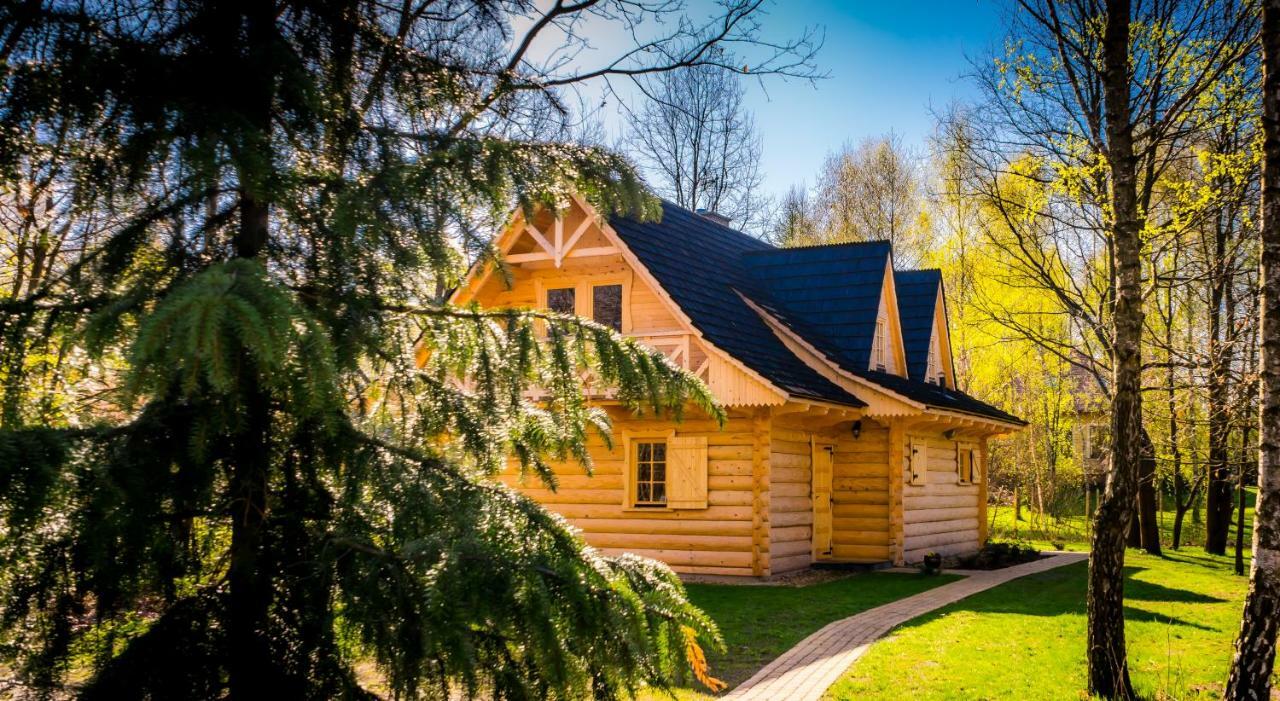 Sucholand Villa Miedziana Gora ภายนอก รูปภาพ
