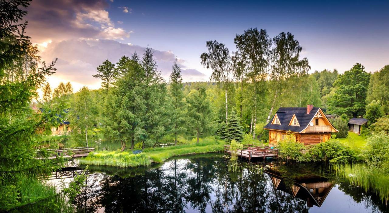 Sucholand Villa Miedziana Gora ภายนอก รูปภาพ