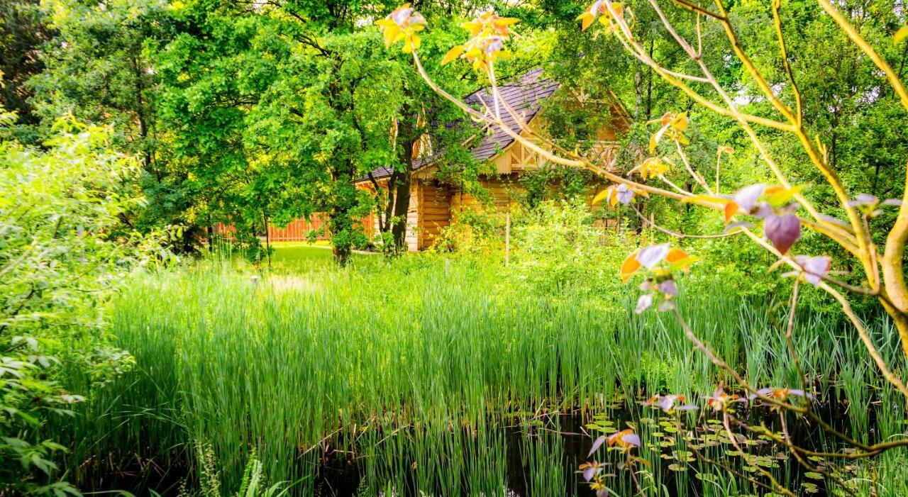Sucholand Villa Miedziana Gora ภายนอก รูปภาพ