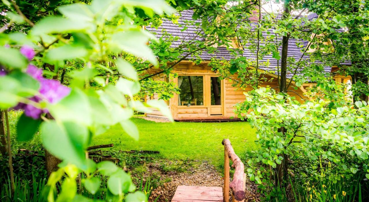 Sucholand Villa Miedziana Gora ภายนอก รูปภาพ