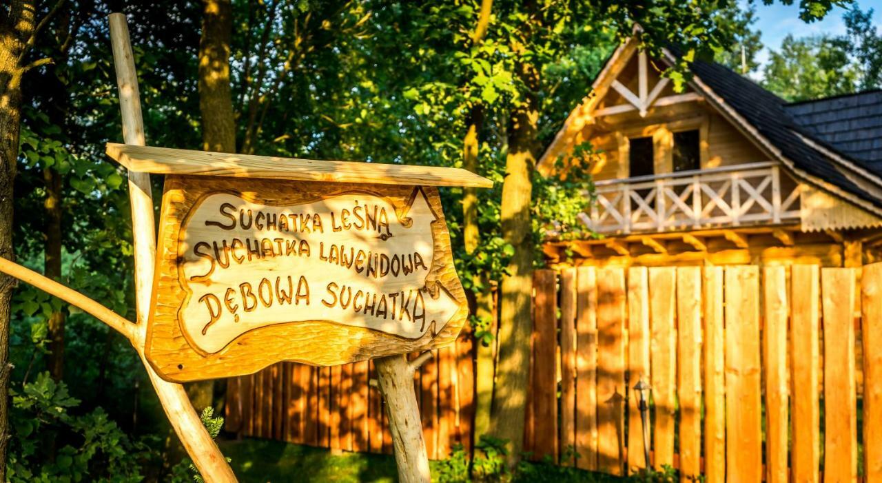 Sucholand Villa Miedziana Gora ภายนอก รูปภาพ
